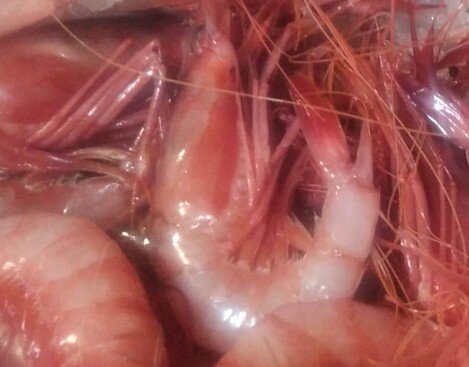 Gambas de Palamós Gambas de Palamós